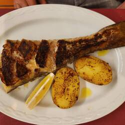 Es gibt für ihn Hecht.