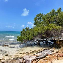 Isla Múcura