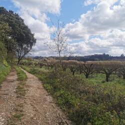 Wenn die Sonne mal scheint,