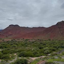 Quebrada de Cafayate