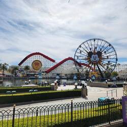 The Pier looked great today