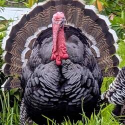 Die sind so hässlich 😅