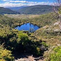Wombat Pool von oben