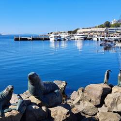 Harbour Hobart
