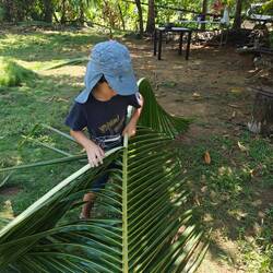 Gelernt, wie man aus Palmenblättern ein Hausdach bauen kann