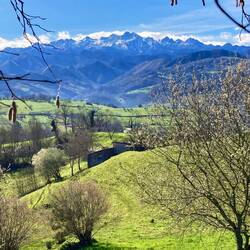 Picos de Europa