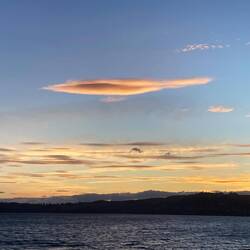 Viele verschiedene Farben.