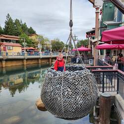 Jackson in a net of fish