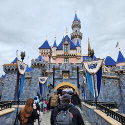 Please do not step on tiny castle