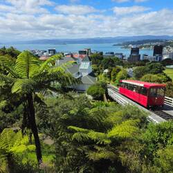 Petit téléphérique emblématique de la ville pour monter au jardin botanique