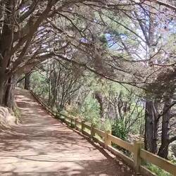 Nous, on a pas besoin d'effets spéciaux (LOTR)