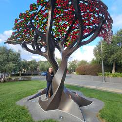 Arbre de la paix au War memorial