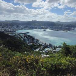 Vue du port de Wellington depuis le mont Victoria