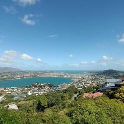 Miramar, banlieue de Wellington, où se trouve le weta workshop