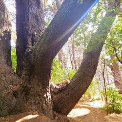 "Un magicien n'est jamais en retard, ni en avance d'ailleurs " LOTR