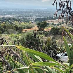 Te Mata Park