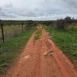 Typical road today