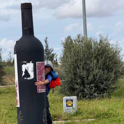 No vino, no Camino