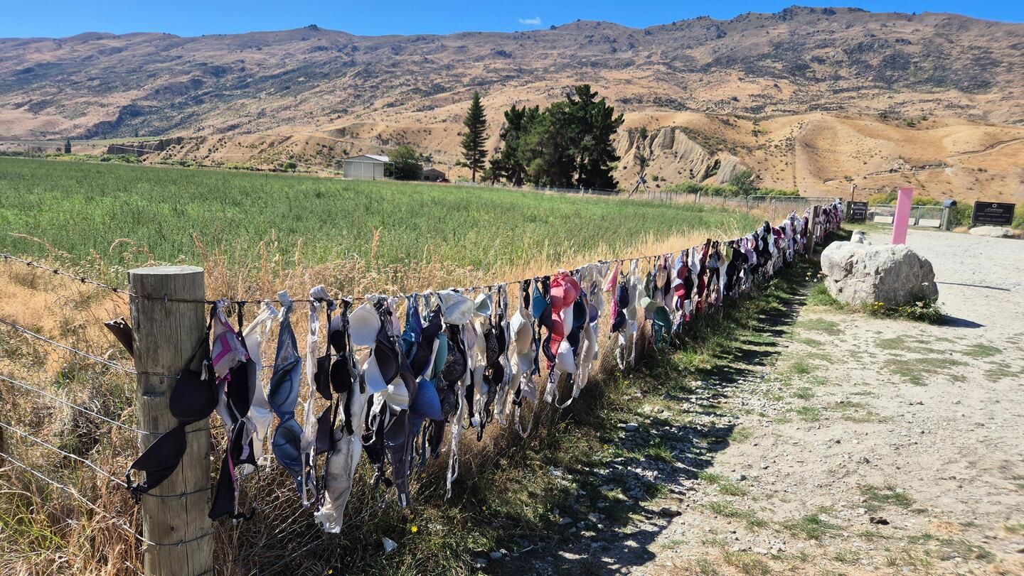 Hilde wollte ihre BH's nicht mehr waschen 😂😅🙈.. Nein..super Idee