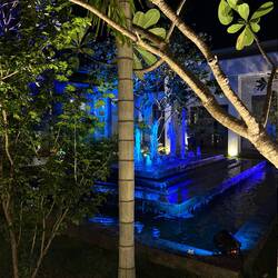 Lotus flower demonstrations were complimentary with dinner here.