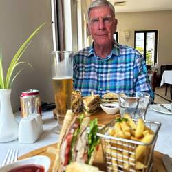 Club sandwich with fries.