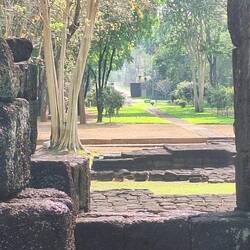 Gardens and the outer wall