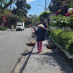 Carrying her fruit to the market.