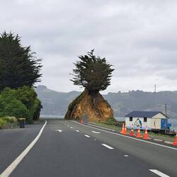 Returning to Dunedin we took the Bayside road.