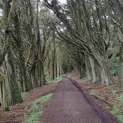 Next stop: Sandymount Recreation Reserve. A beautiful GOT-like entryway.