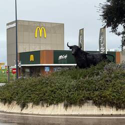 Empty McDonalds. No wonder, so many great food choices nearby