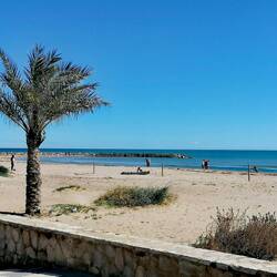 Port de Sagunt
