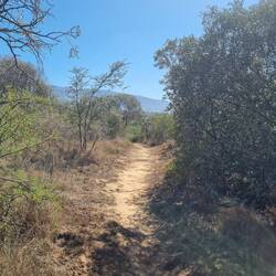 Hike durch den Park