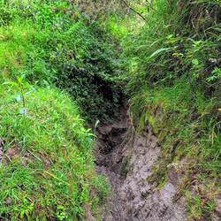 Da gehts ganz schön matschig runter