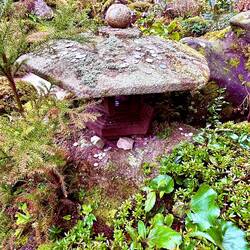 Coin offerings at Sata Mifune's garden