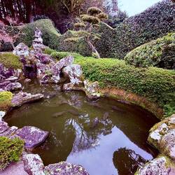 Beautiful garden with water feature and a small waterfall
