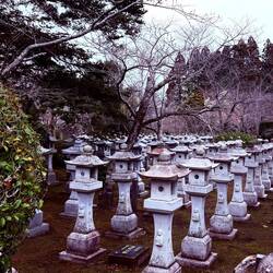 Each lantern has the face of one of the lost Kamakaze pilots