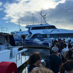 Our boat for the day