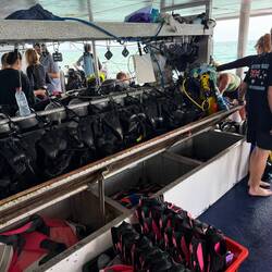 Our gearing up location