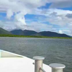 View from the boat as we returned to Cairns