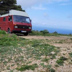 Rudi im Urlaub 🥳🥰