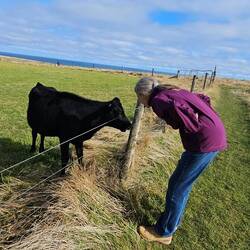 Walking out to the point, J9's making a new friend.