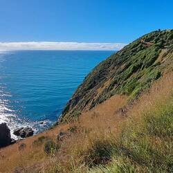 The path to the lighthouse.