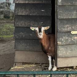 Na, auch schon wach?