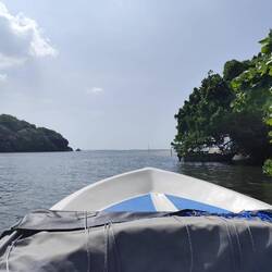 Flussdelta vom Bentota Ganga