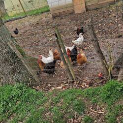 Schöne Bauernhöfe mit unseren Lieblingstieren