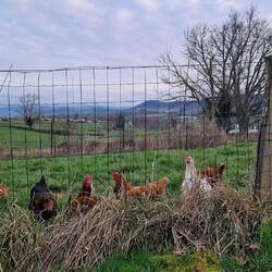 Blick von unserem heutigen Campingplatz