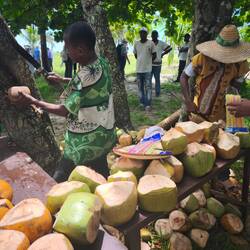 Kokosmilch für uns zur Erfrischung