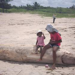 schöner Sandstrand, aber baden wegen Haigefahr und Strömung verboten.
