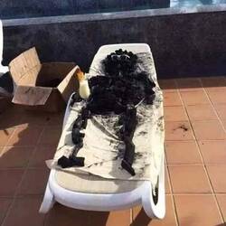 Heute war es wirklich heiß 🥵