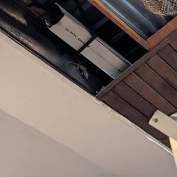 Diese kleinen Dinger sind unfassbar laut